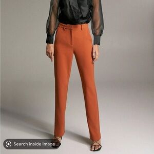 Aritzia Babaton Raval Pant in Rustwood